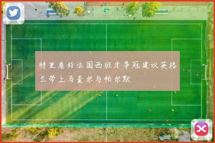 特里看好法国西班牙争冠建议英格兰带上马奎尔与帕尔默