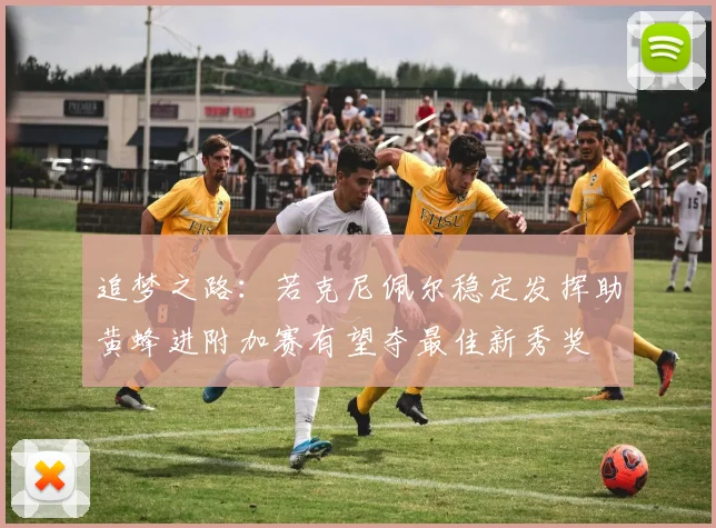 追梦之路：若克尼佩尔稳定发挥助黄蜂进附加赛有望夺最佳新秀奖