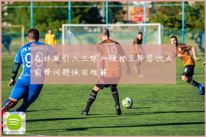 森林狼引入三球加强控卫阵容但大前锋问题依旧难解